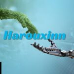 Harouxinn